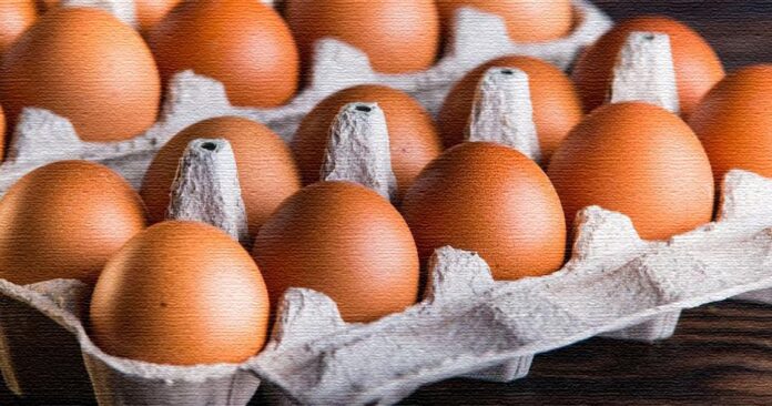 egg-nepal