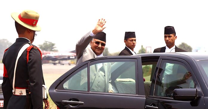kp-oli