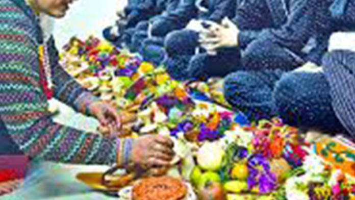 Untitled-1 copy